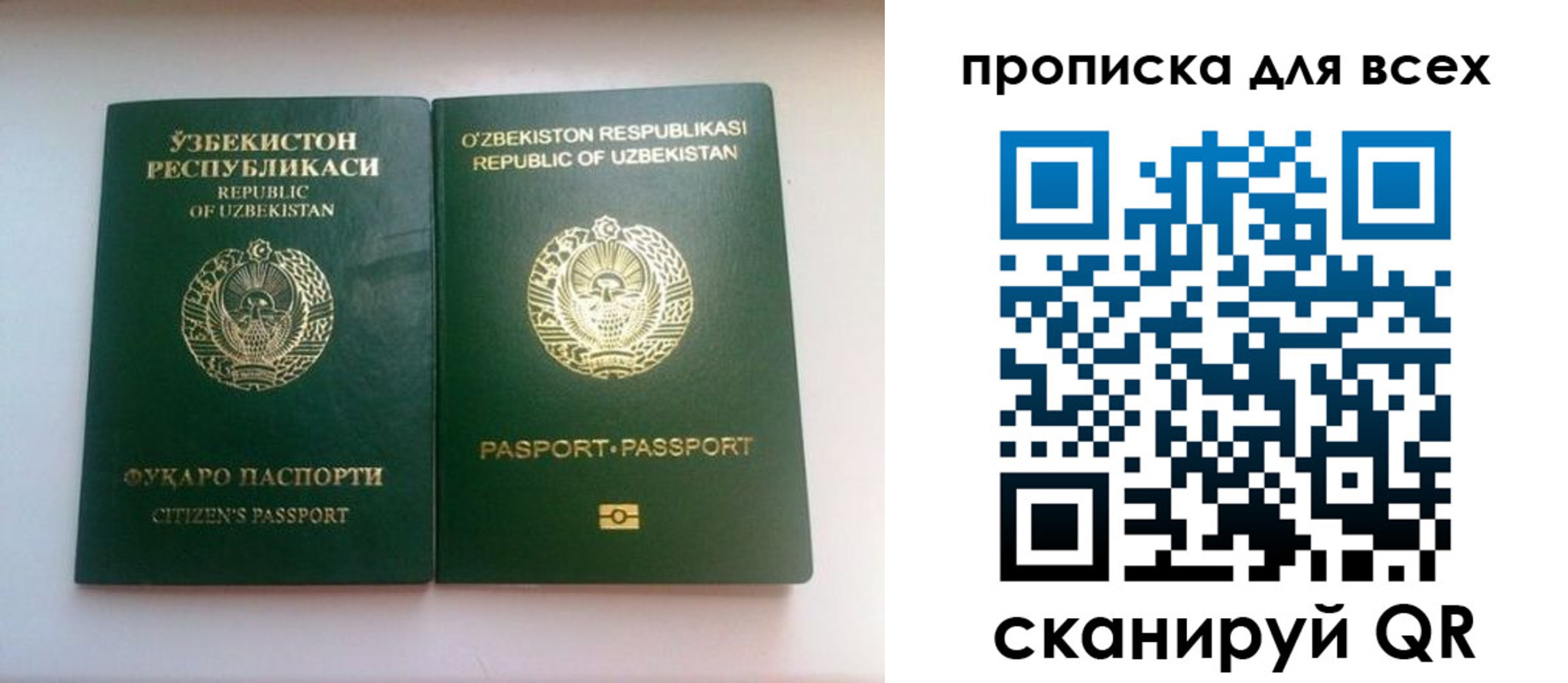 прописка для школы в Далматово